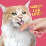 Royalist Creamy Snack Pack Chicken And Scallop / Cat Treat – 75 Gram - Image 2
