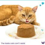 Maybel Elite Premium Wet Cat Food – 400 Gram - Image 4