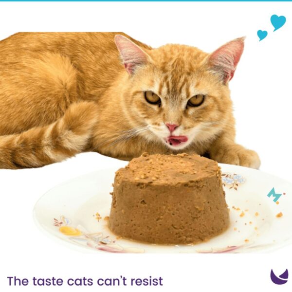 Maybel Elite Premium Wet Cat Food – 400 Gram - Image 4