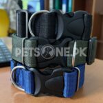 Nylon Dog Collar With Plastic Clip Lock - Image 2