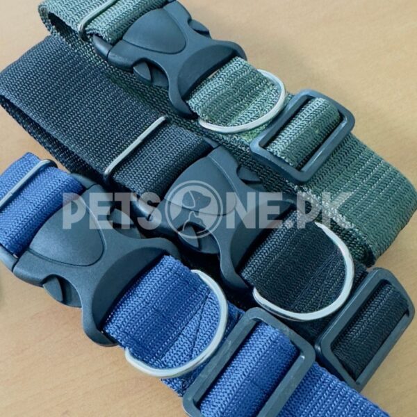 Nylon Dog Collar With Plastic Clip Lock - Image 3