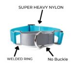 Nylon Martingale Collar / Dog Choke Collar