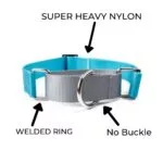 Nylon Martingale Collar / Dog Choke Collar