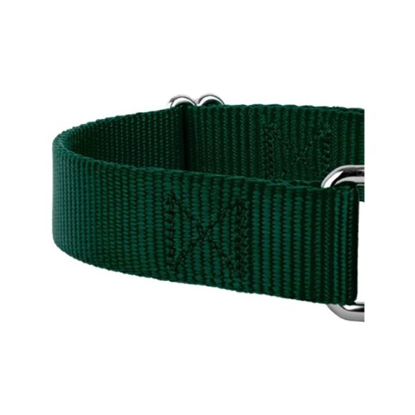 Nylon Martingale Collar / Dog Choke Collar - Image 2