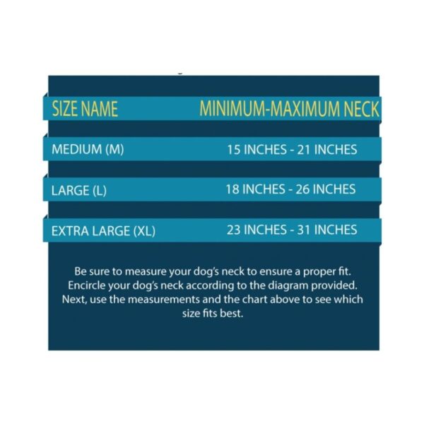 Nylon Martingale Collar / Dog Choke Collar - Image 4