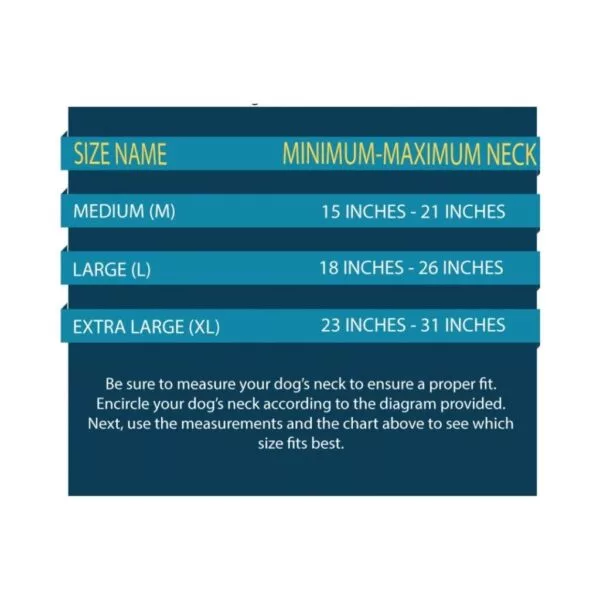 Nylon Martingale Collar / Dog Choke Collar - Image 4