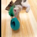 Funny Interactive Cat Toy With Catnip - Image 6
