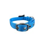 PETX Nylon Collar for Dogs and Puppies