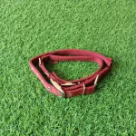 PETX Nylon Collar for Dogs and Puppies - Image 5
