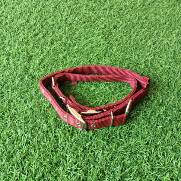 PETX Nylon Collar for Dogs and Puppies - Image 5