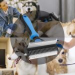 Pet Grooming Tool Box For Cats And Dogs - Image 7