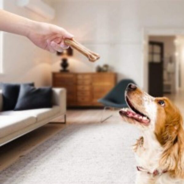 Petideal Raw Hide Bones for Dogs – 5 Inches - Image 3