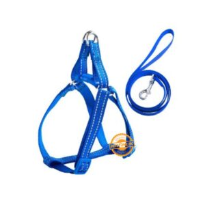 Petline Plain Puppy Harness And Leash