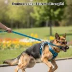 Petline Plain Harness And Leash for Small And Medium Dogs - Image 4