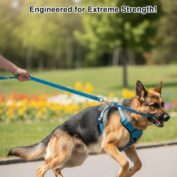 Petline Plain Harness And Leash for Small And Medium Dogs - Image 4