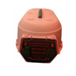 Paw Design Transport Box / Jet Box / Pet Carrier - Image 2