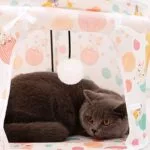 Premium Indoor Home Foldable Soft Cat Tunnel Tubes  – Castle - Image 4