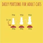 Purina 1+ Adult GoCat Food Duck And Chicken – 750 Gram - Image 5