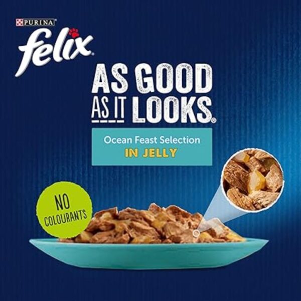 Purina Felix As Good As it Looks Cat Food Ocean Feast Selection In Jelly – 12 Pouch Box - Image 3