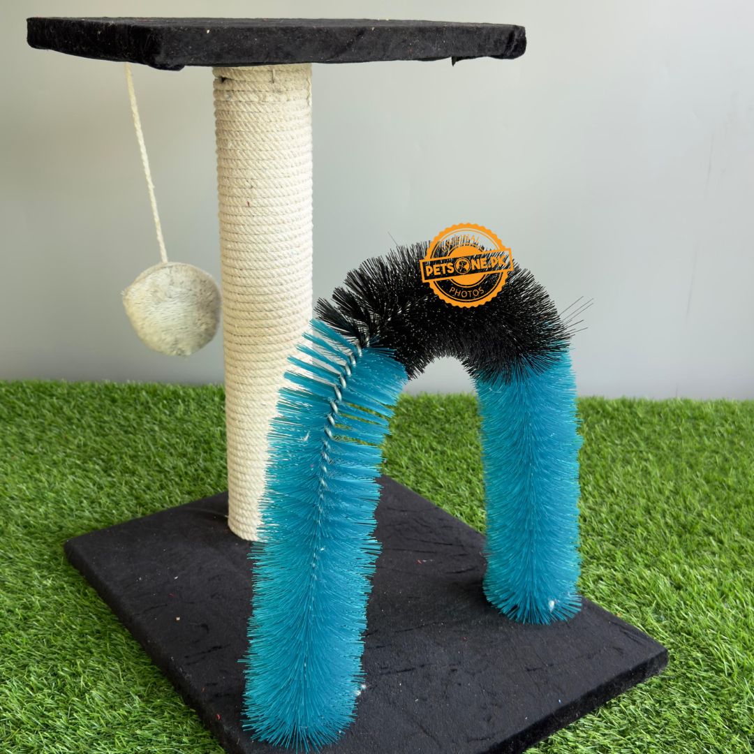 Scratching Post For Cats – 2 in 1 Pole Design - PetsOne.pk