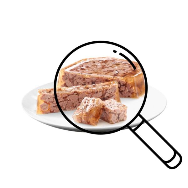 Sheba Fine Flakes In Jelly With Salmon – 85 Gram - Image 2