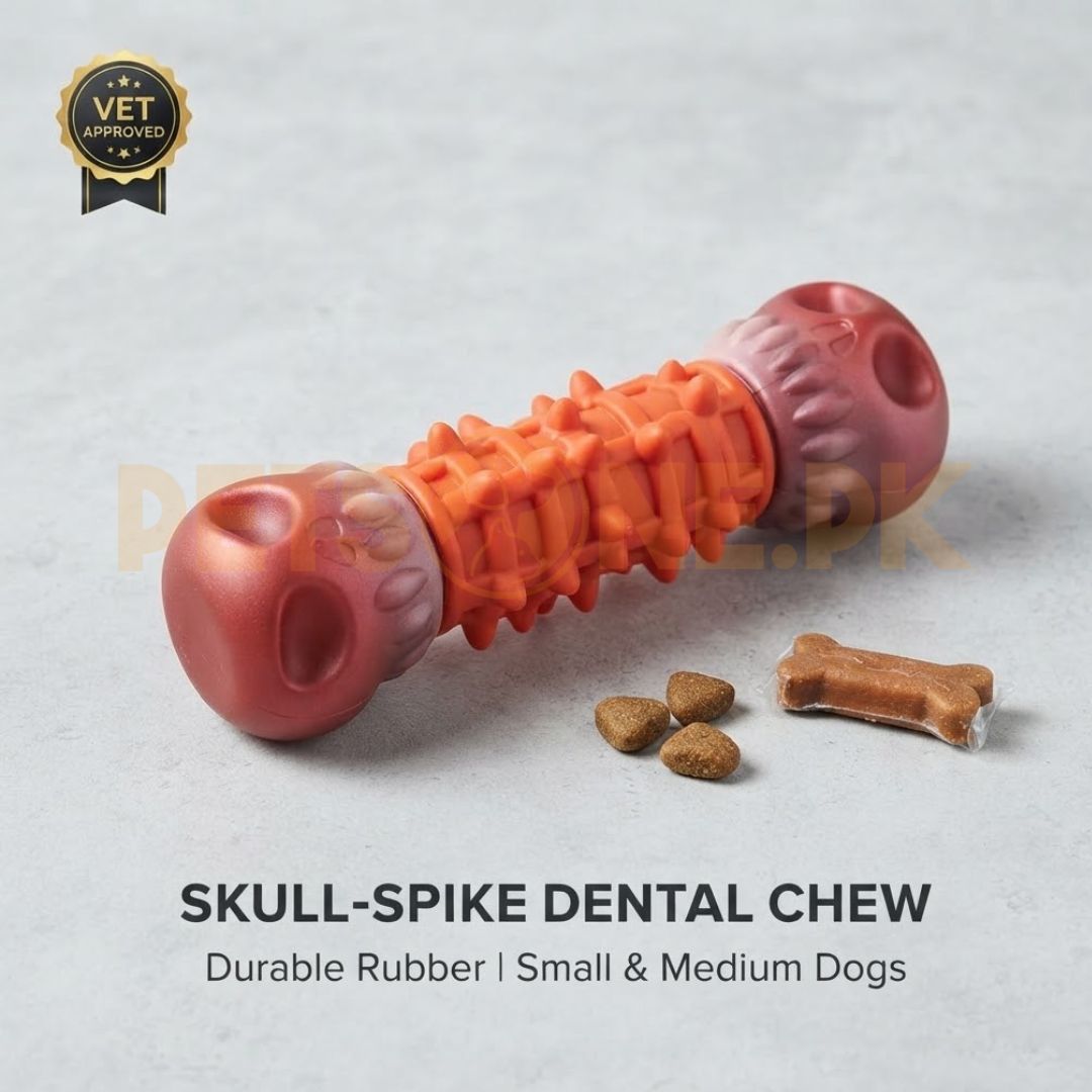 Skull Shape Dog Chew Toy Skull Shape Dog Chew Toy - Image 1