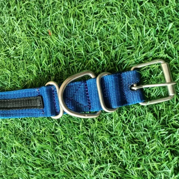 Nylon Dog Collar - Image 4