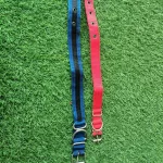 Nylon Dog Collar - Image 3