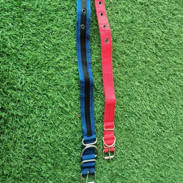 Nylon Dog Collar - Image 3