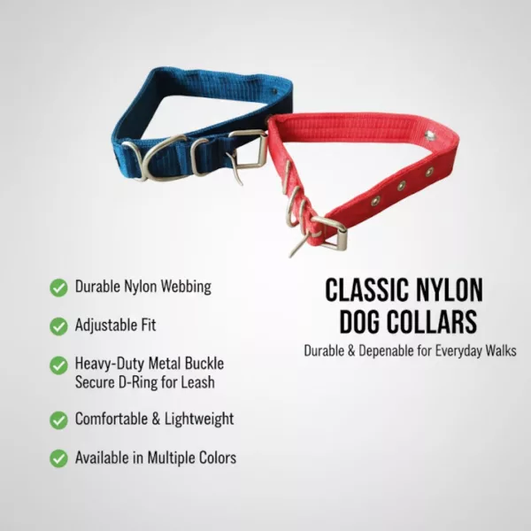 Nylon Dog Collar - Image 5