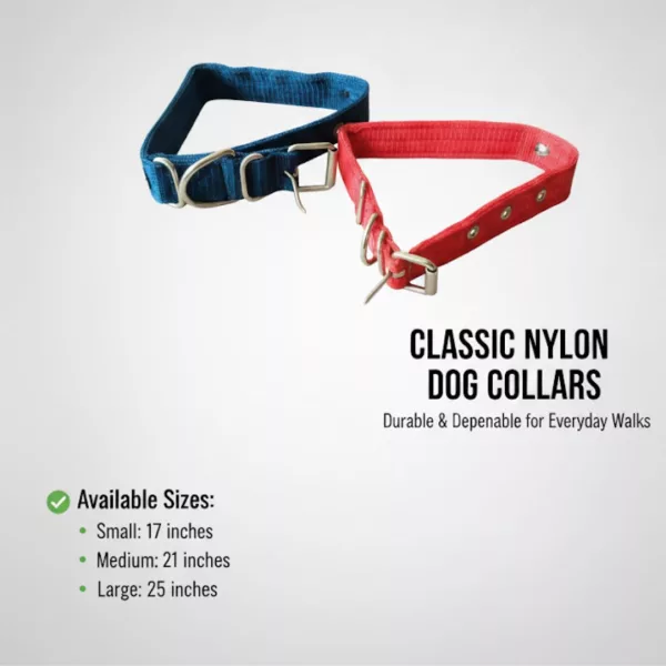 Nylon Dog Collar - Image 6