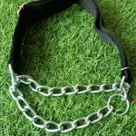Half Choke Collar / Martingale Collar - Image 2