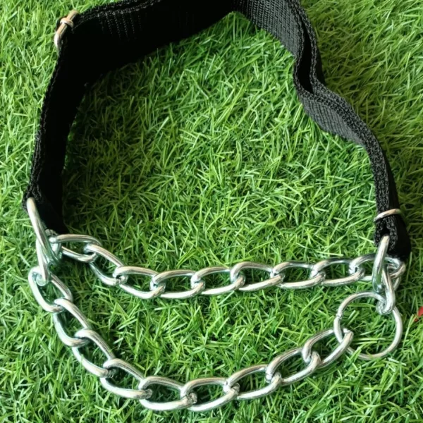 Half Choke Collar / Martingale Collar - Image 2