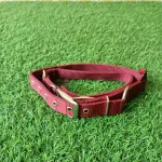 PETX Nylon Collar for Dogs and Puppies - Image 2