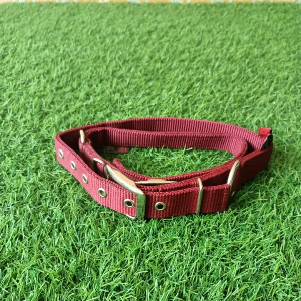 PETX Nylon Collar for Dogs and Puppies - Image 2