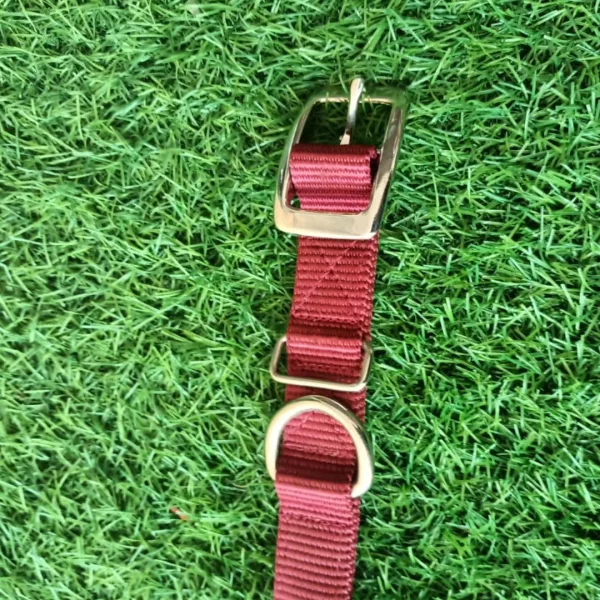 PETX Nylon Collar for Dogs and Puppies - Image 4