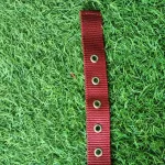PETX Nylon Collar for Dogs and Puppies - Image 3