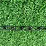 Choke Collar for Dogs - Image 6