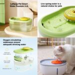 Snail Design Cat/Dog Water Fountain