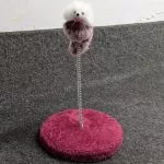 Spring Cat Mouse Funny Cat Toy