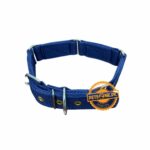 Strong Grip Better Dog Control Collar for Large Dogs