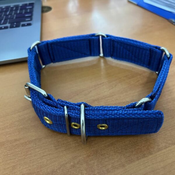 Strong Grip Better Dog Control Collar for Large Dogs - Image 2