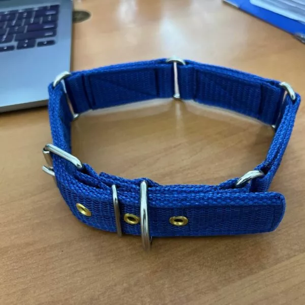 Strong Grip Better Dog Control Collar for Large Dogs - Image 2