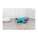 Trixie Playing Tunnel - Image 3