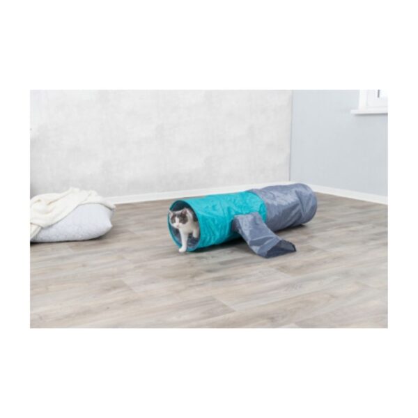 Trixie Playing Tunnel - Image 3