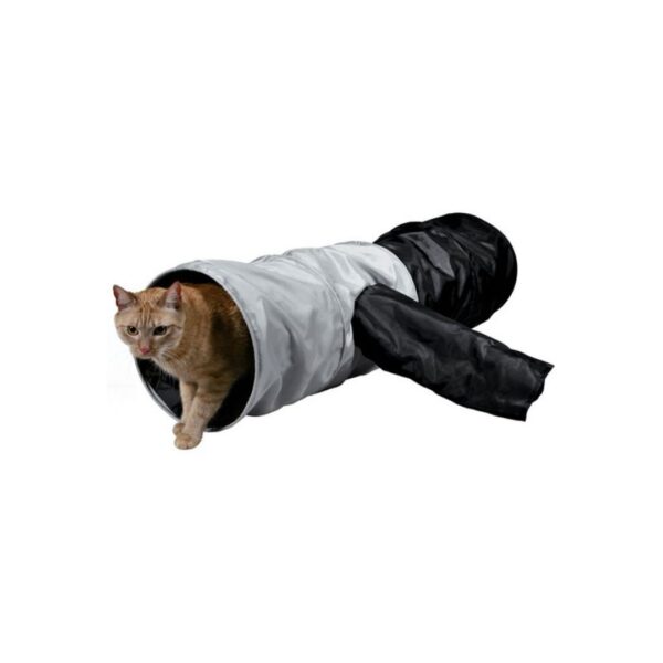 Trixie Playing Tunnel - Image 4