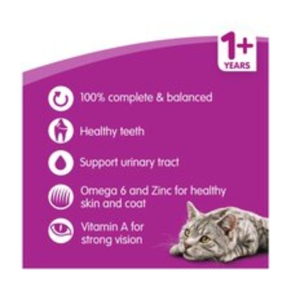 Whiskas 1+ Complete Tuna Dry Cat Food – 825 Gram Box - Image 2