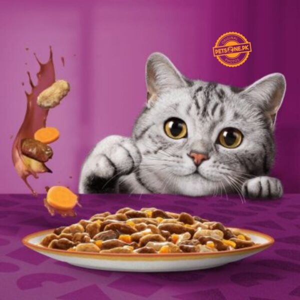 Whiskas 1+ Pouches Country Collection In Gravy – 12 Pouch Box - Image 2