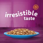 Whiskas 1+ Pouches Favorite Fish In Jelly – 12 Pouch Box - Image 2