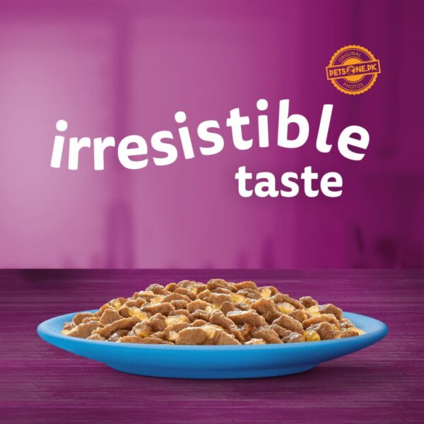 Whiskas 1+ Pouches Favorite Fish In Jelly – 12 Pouch Box - Image 2